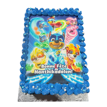 Paw Patrol Rectangle Edible Image Cake- #PT65